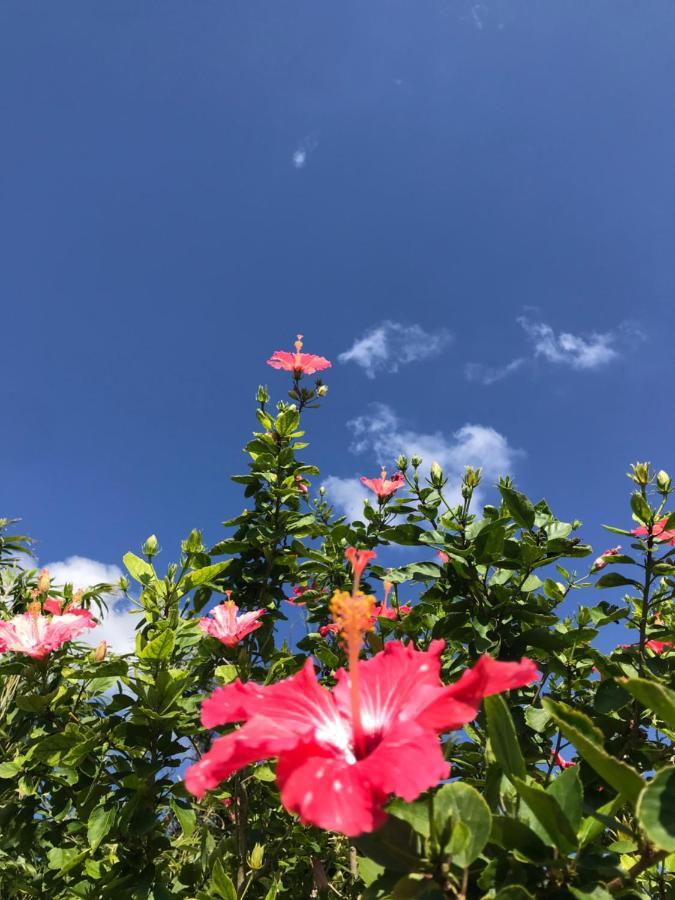 A Pousada みーまん奄美 Amami Exterior foto